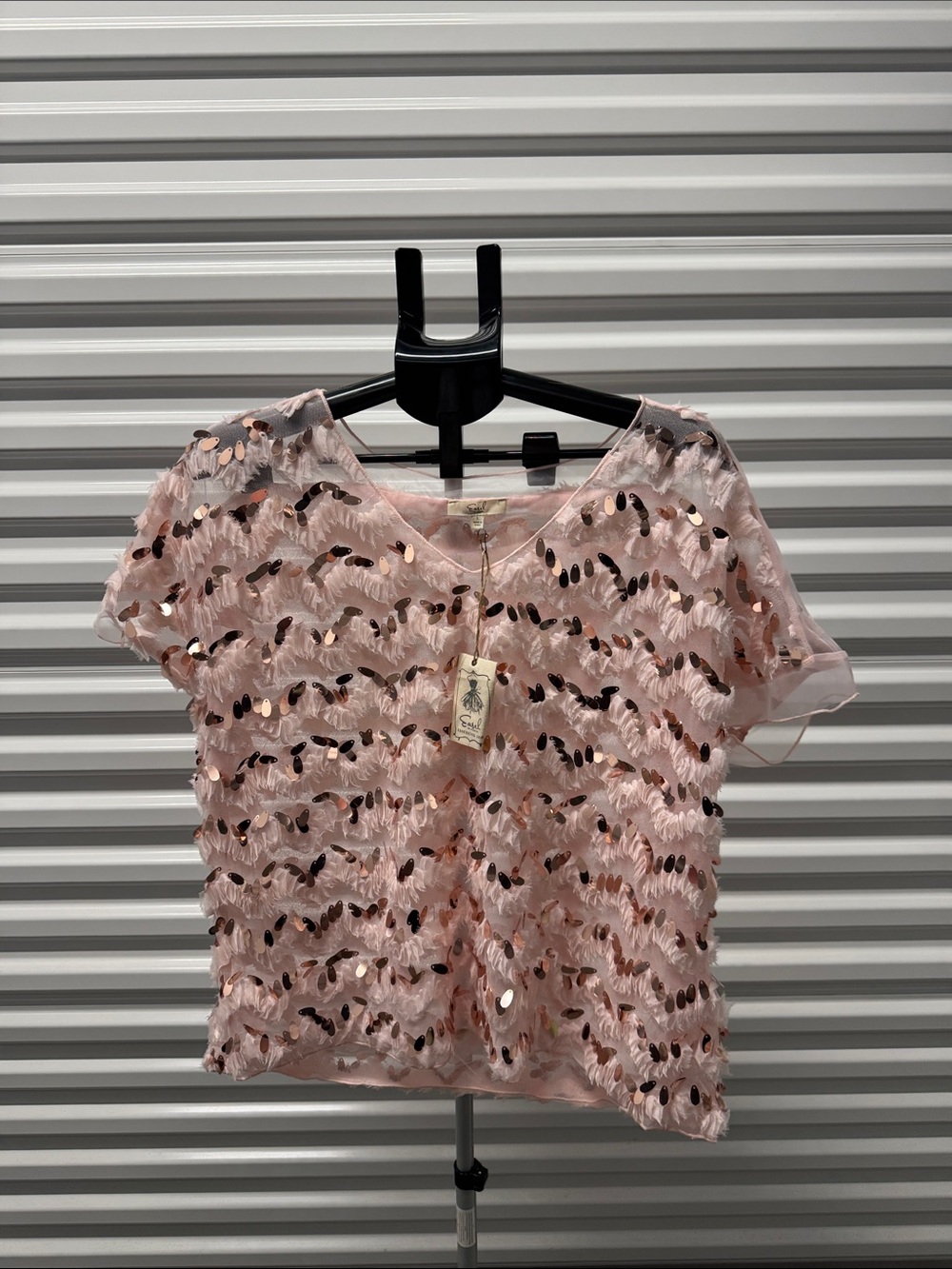 easel Blush Pink Sequin Fringe Short Sleeve Top